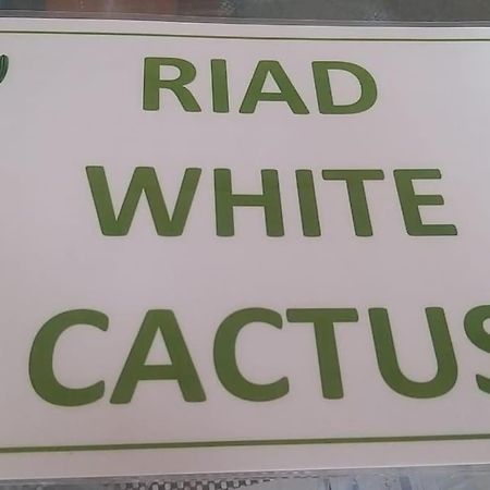 Riad White Cactus Marakéš Exteriér fotografie
